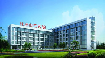 株洲市三醫(yī)院 微創(chuàng)技術(shù)開啟新篇章，賦能新材料技術(shù)開發(fā)服務(wù)